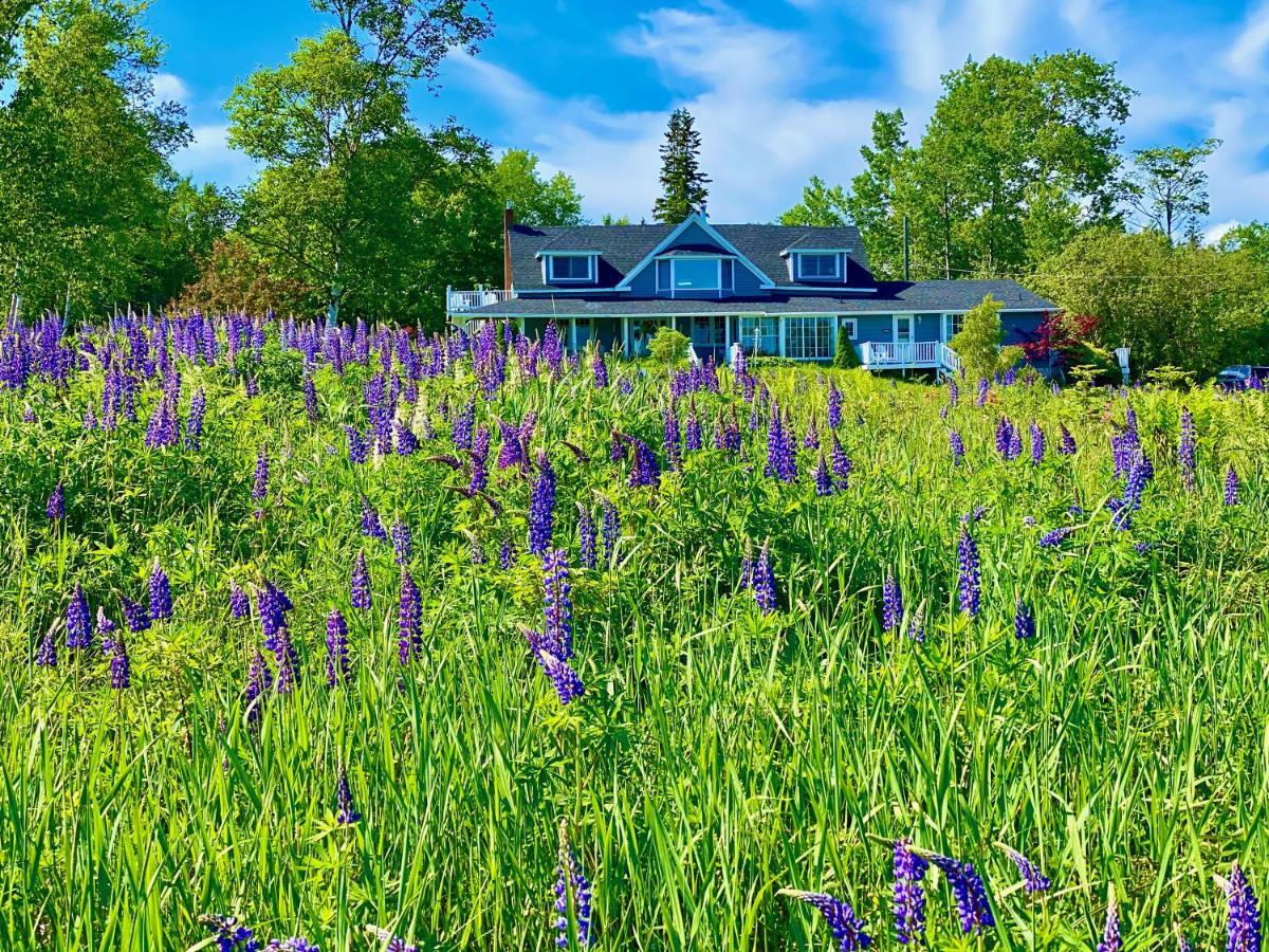 Baddeck Inlet Broadwater Inn & Cottages المظهر الخارجي الصورة