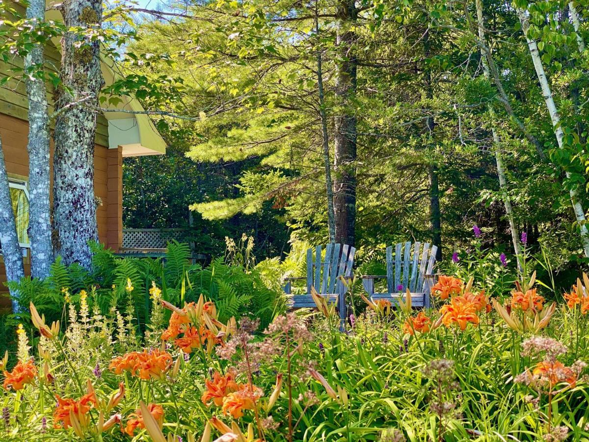 Baddeck Inlet Broadwater Inn & Cottages المظهر الخارجي الصورة